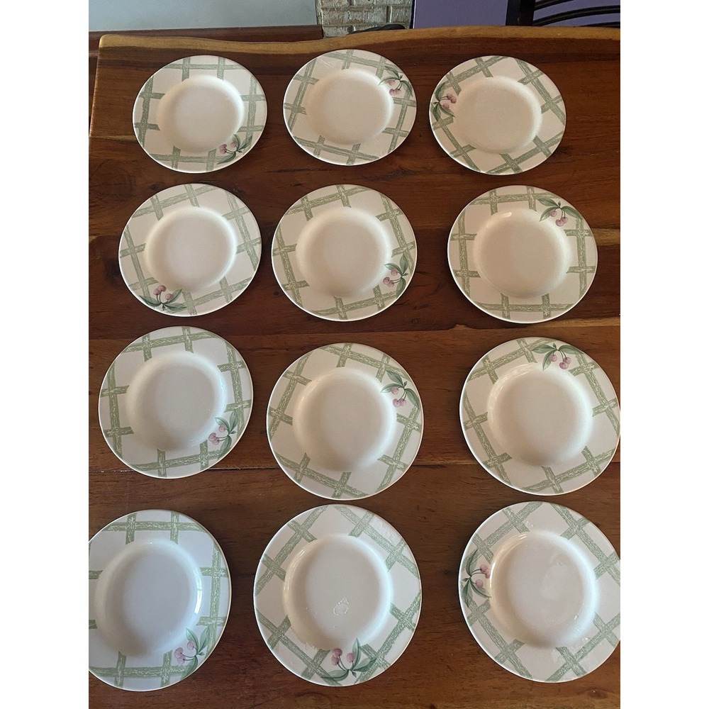 Set Of 12 Pfaltzgraff Garden Party 8" Salad Plates